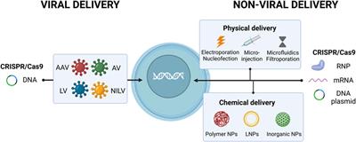 CRISPR medicine for blood disorders: Progress and challenges in delivery